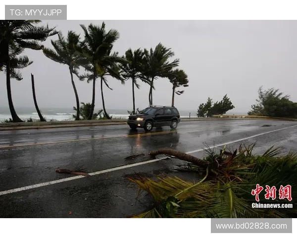 阿根廷与波多黎各友谊赛场地变更至迈阿密的最新消息